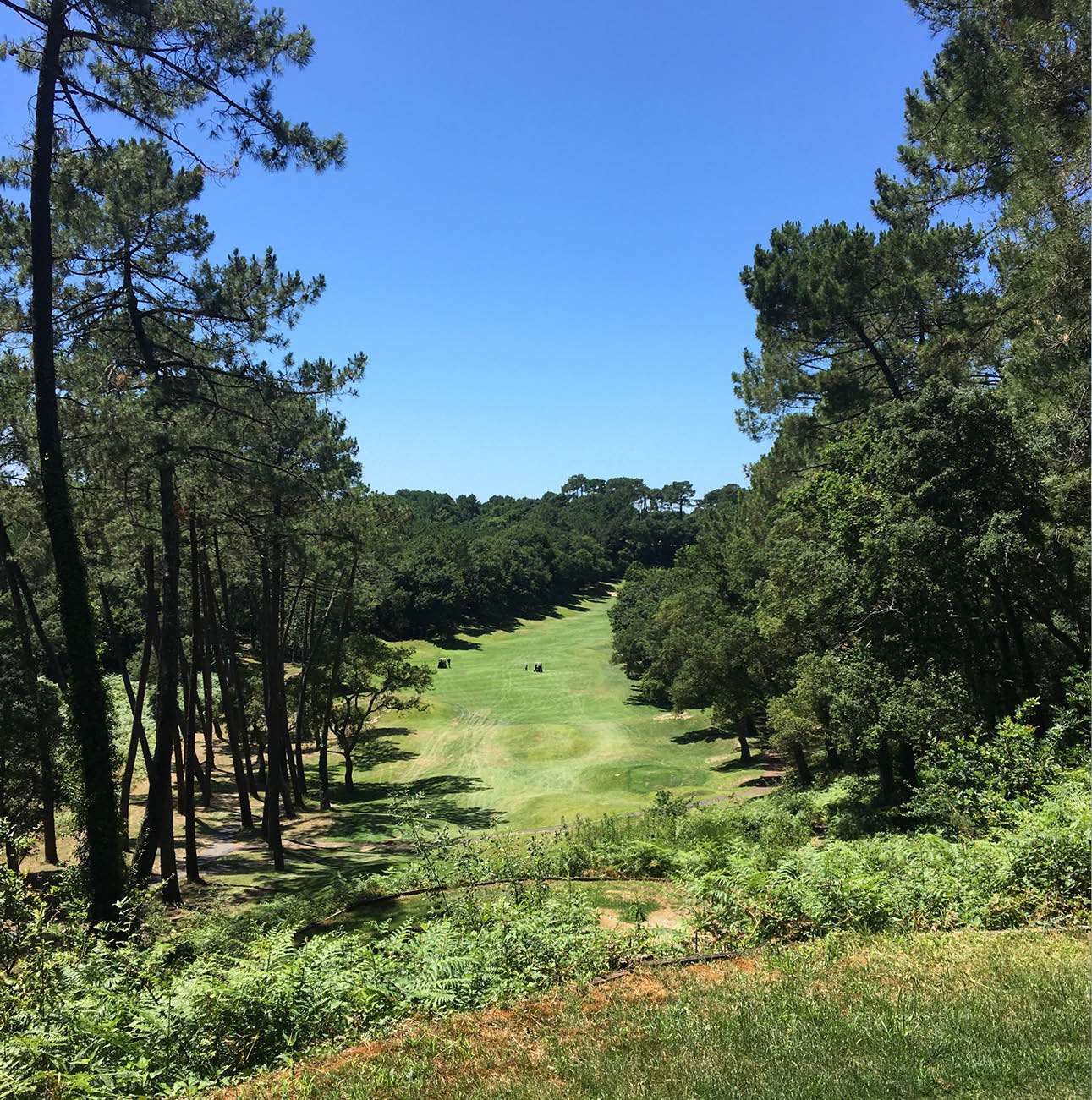 stage-sur-mesure-vignette-0120